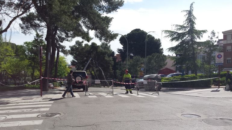 Calle cortada durante los trabajos del pino