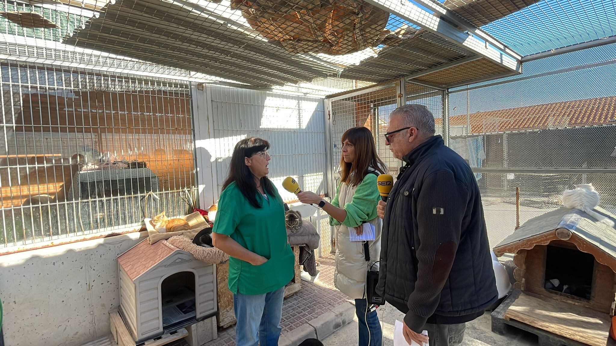 Yolanda Jiménez, Jefa de Sección Bienestar Animal Ayuntamiento, durante la entrevista en el núcleo zoológico de Benimàmet