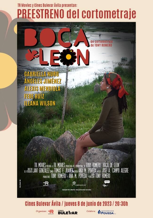 Cartel de la película