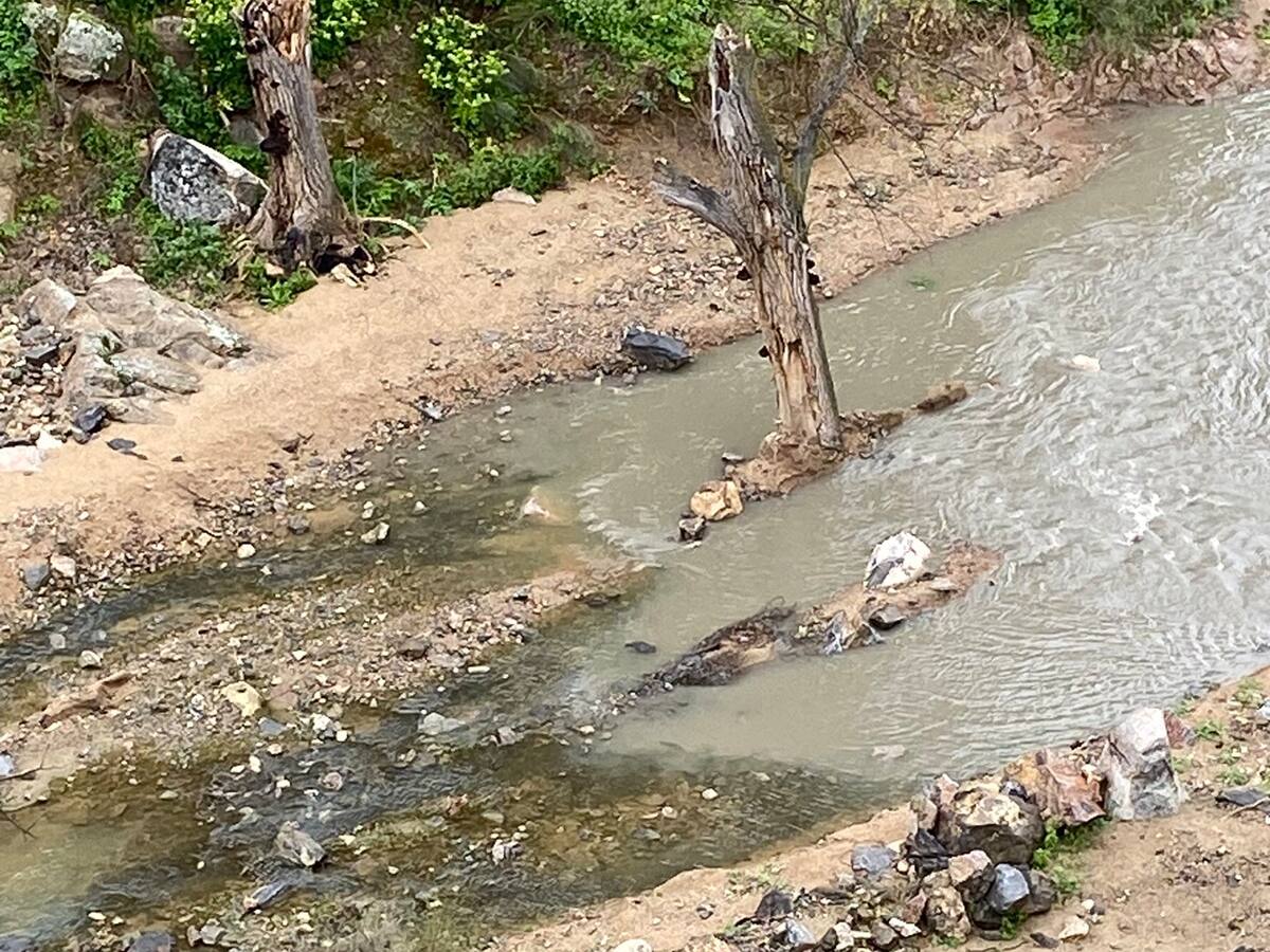 El Ayuntamiento y la Junta piden explicaciones por su bajo nivel del caudal