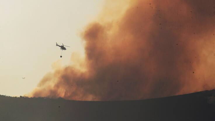 Iñigo Mínguez, ingeniero agrónomo: "Donde más se puede trabajar es en prevenir"