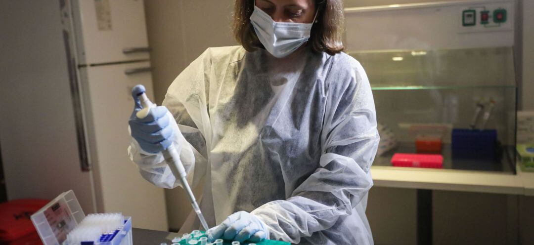Personal sanitario trabaja en el laboratorio con muestras para detectar la Covid-19.