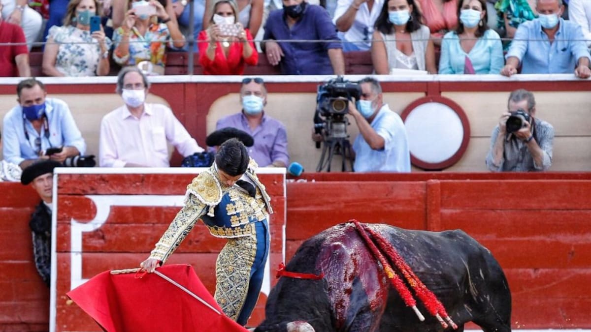 PSOE pide una comisión de investigación por la corrida de El Puerto