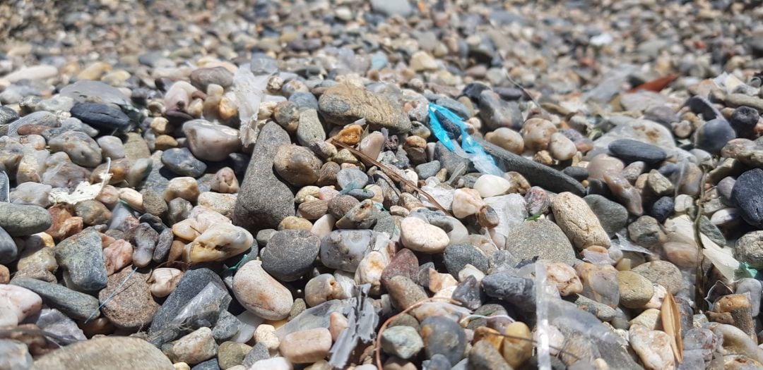 Una mostra dels plàstics que han sortit a Portbou entre d&#039;altres llocs