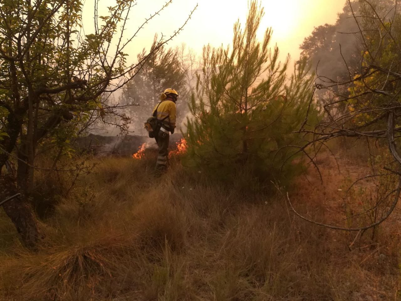 Un bombero forestal durante los trabajos de extinción en el paraje de La Patoja (Jumilla)