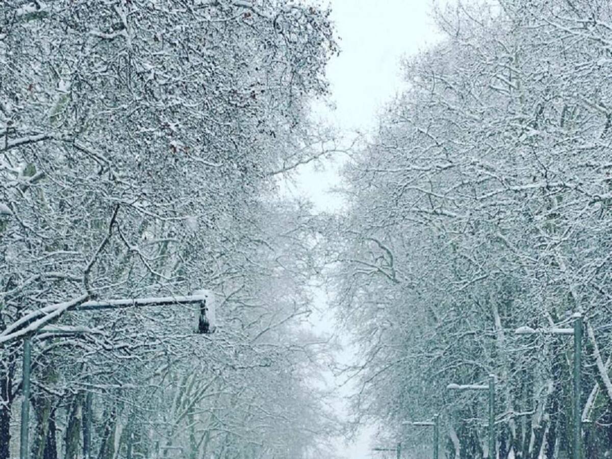 El corredor de Labrit: espacio para peatón, bici y transporte público