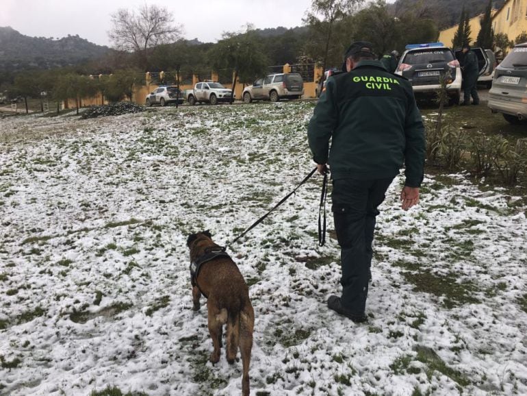 Localizado a 500 metros del lugar donde habia desaparecido 