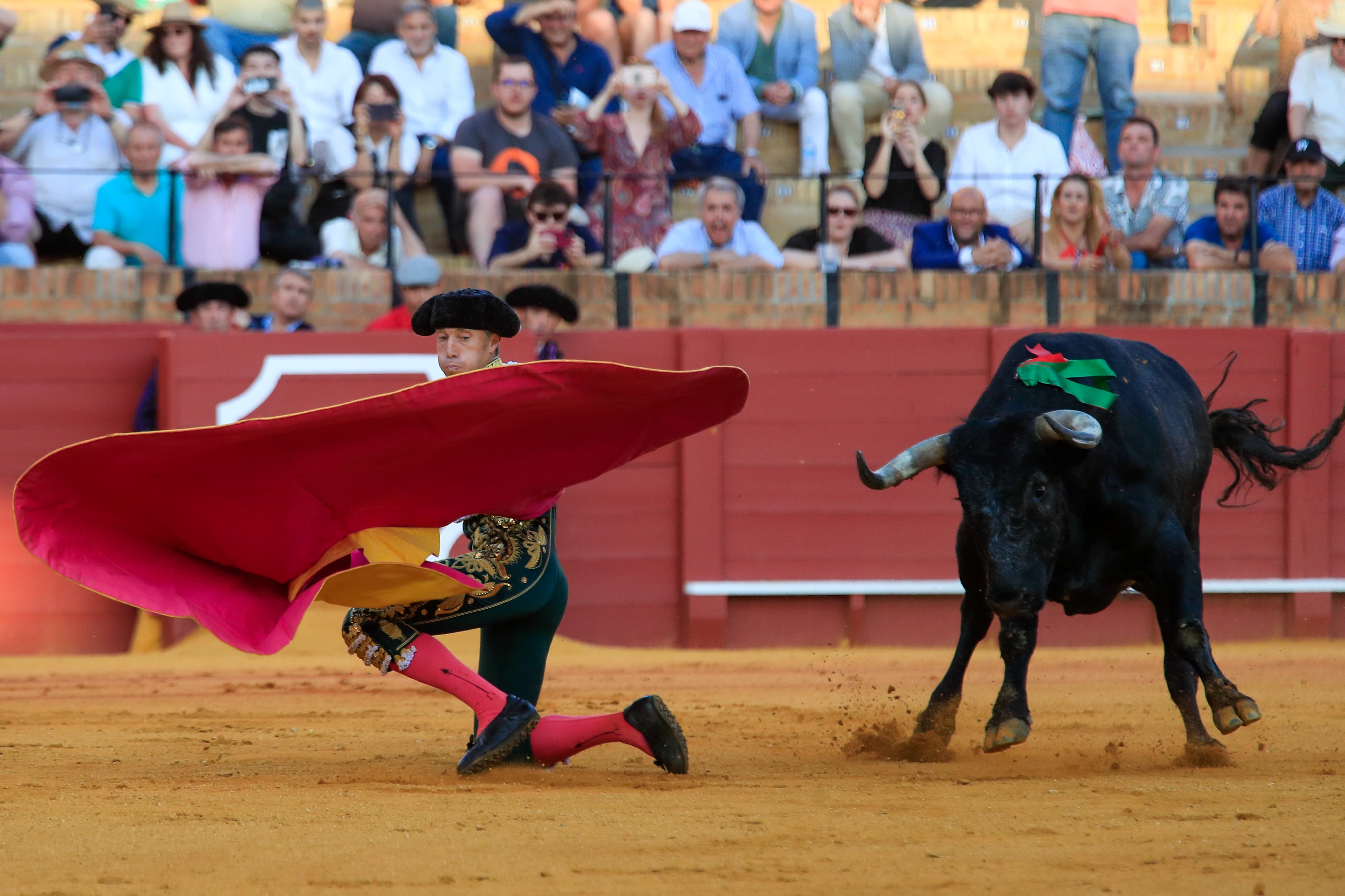 SEVILLA, 01/05/2023,- El torero Manuel Escribano recibe a &quot;portagayola&quot; a su tercer toro, de la ganadería de Miura, en la decimoquinta corrida de abono de la Feria de Abril esta tarde en la plaza de la Real Maestranza de Sevilla. EFE/ Julio Muñoz
