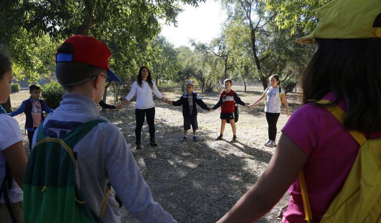 El nuevo Parque Central sería una auténtico pulmón verde para Mairena del Aljarafe