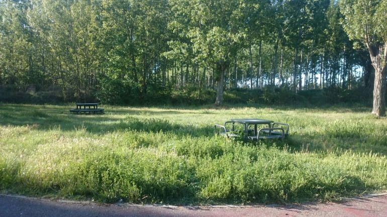 UGT quiere demostrar con fotos que la empresa Áreas Verdes no cumple con el pliego de mantenimiento de los parques que son de su competencia, en contra de lo que dice el concejal responsable del área