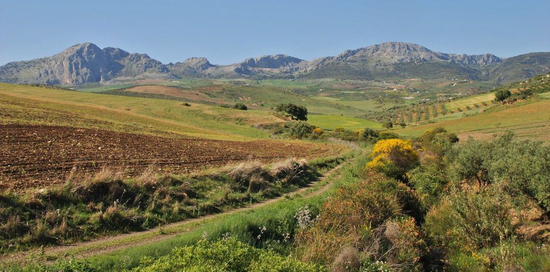 Paisaje gran senda montaña monte campo turismo verde naturaleza senderismo