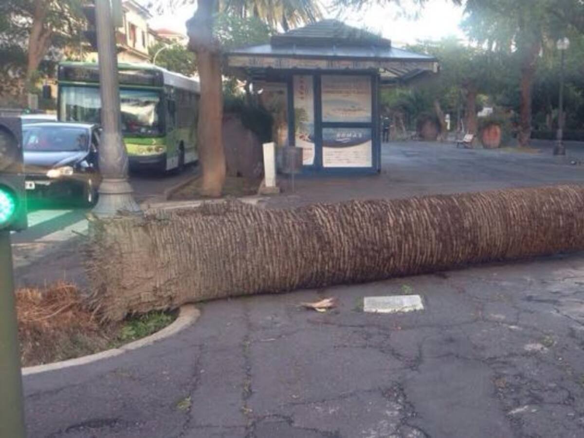 Unos 2.500 clientes de Endesa, sin luz