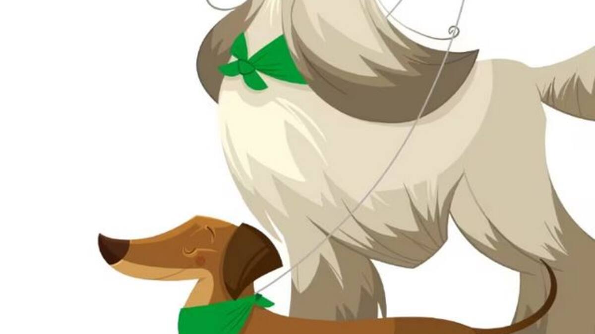 Si ves un perro con un pañuelo verde, evita lanzar cohetes