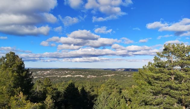 Amplitud del paisaje desde el cerro del Juez.