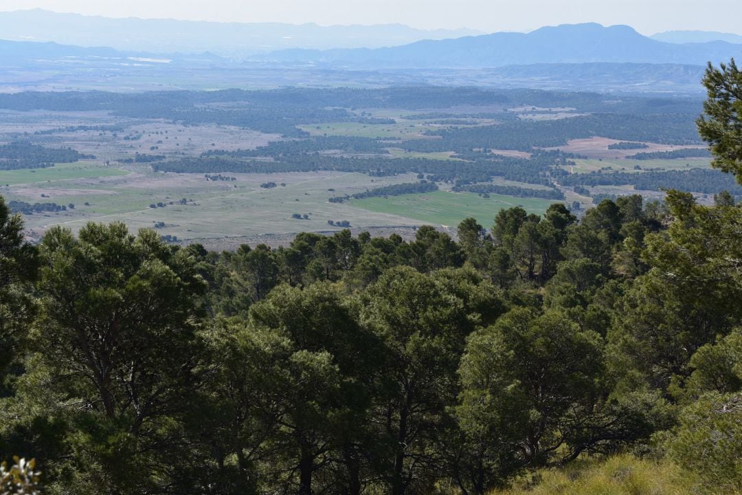 La Sierra del Madroño de Lorca.