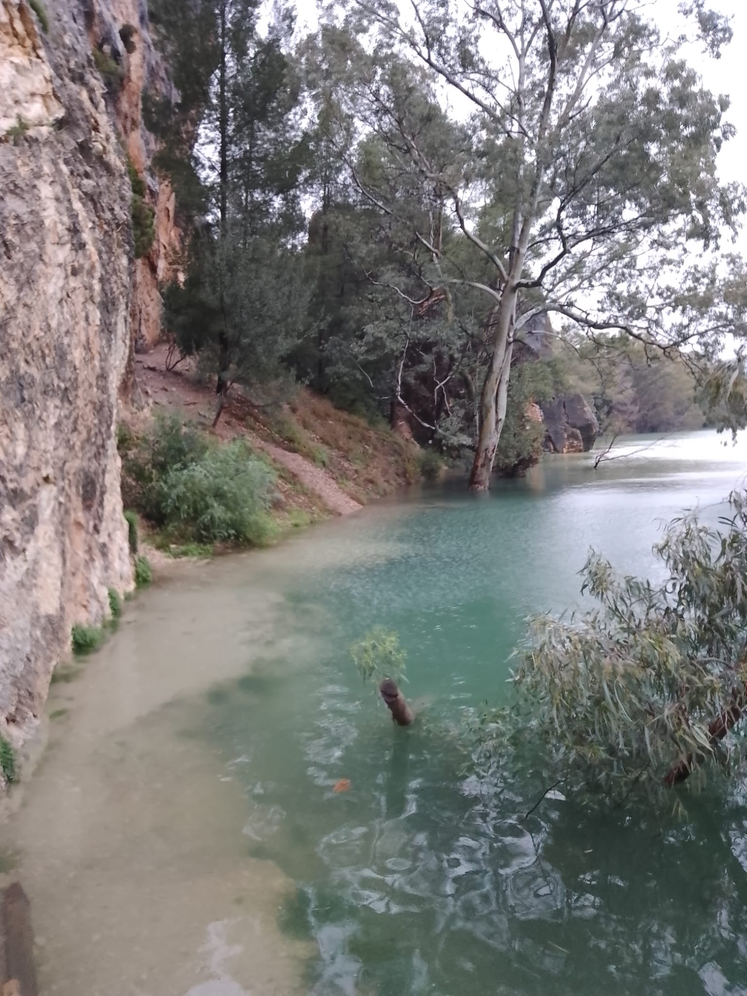 Embalse de La Cierva en Mula (Murcia)