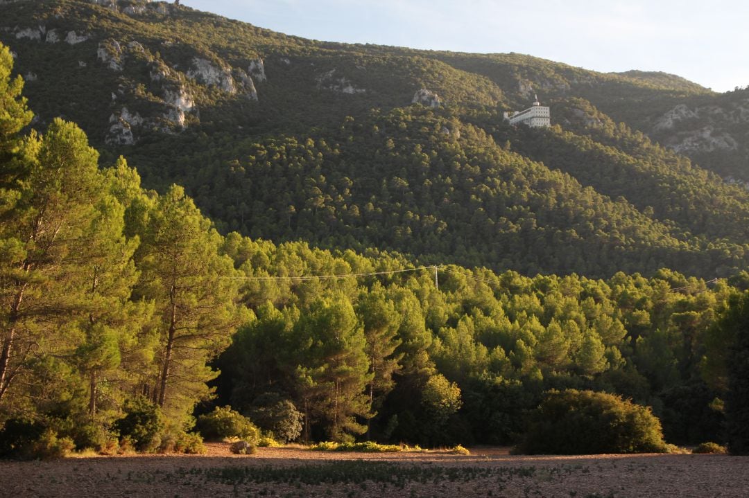 Carrascar de la Font Roja en una imagen de archivo