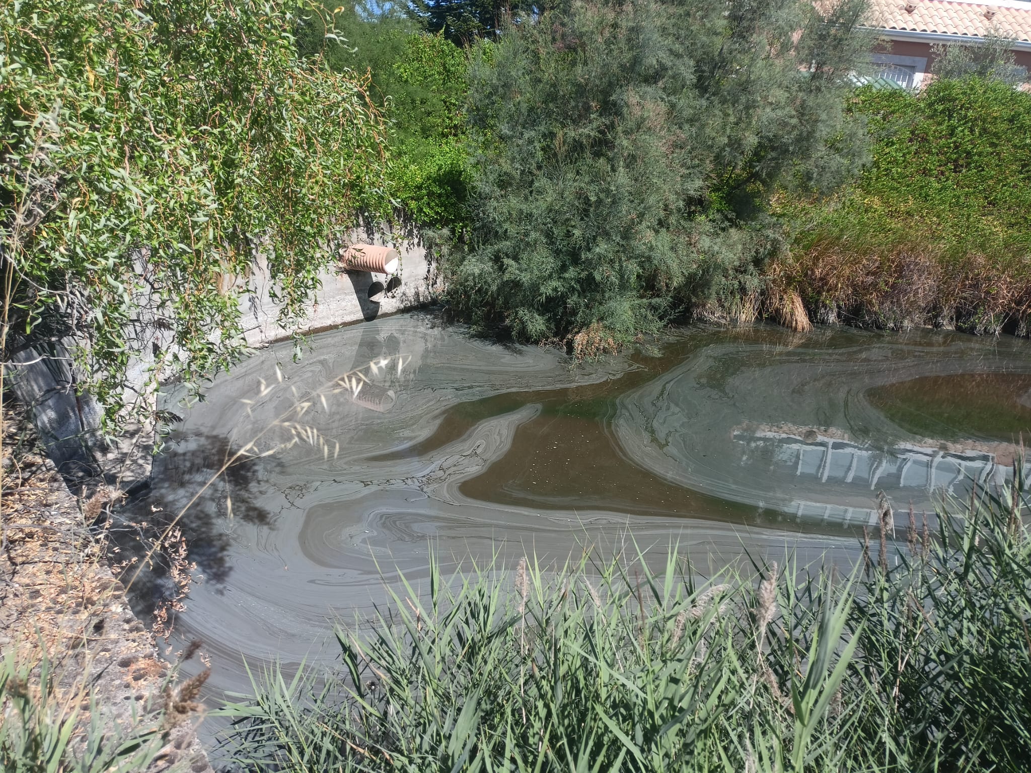 Vertido de aguas fecales en Aldeamayor Golf, Valladolid