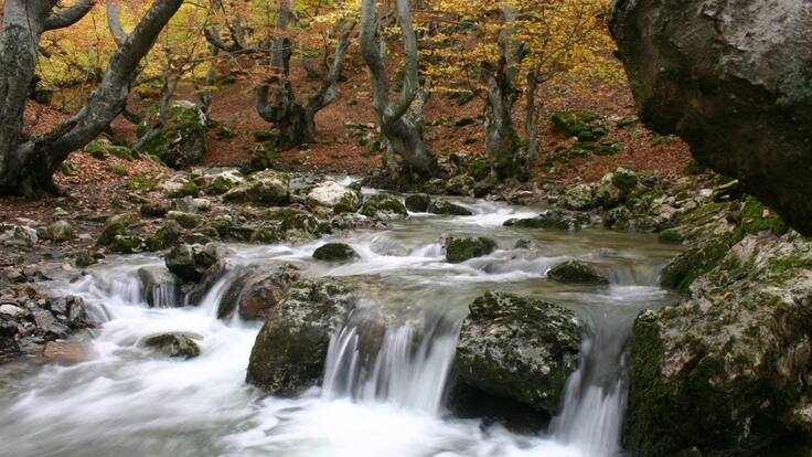 Viajando por León - La reserva del Alto Bernesga estrena rutas (25/10/2018)