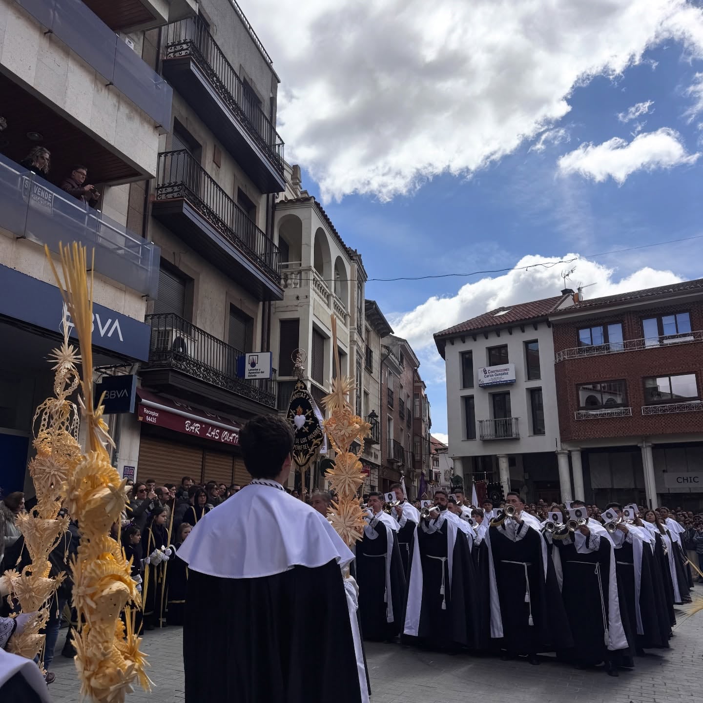 Imagen de este Domingo de Ramos en Peñafiel
