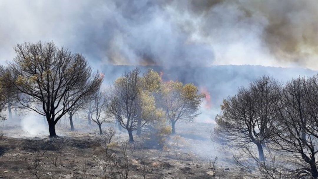 Incendio forestal en Belalcázar