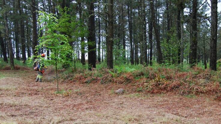 Entrevista Ovidio Rodeiro (25/03/19)