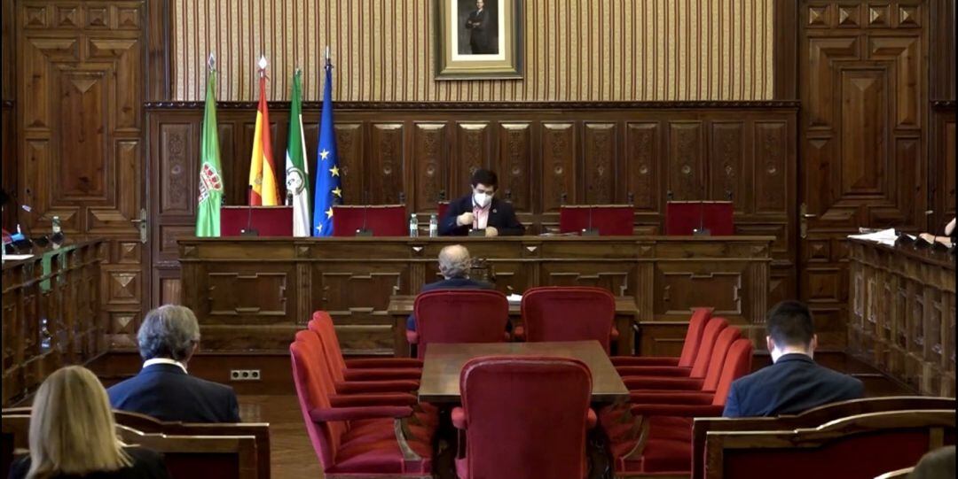 Pleno Extraordinario de la Diputación Provincial de Jaén.