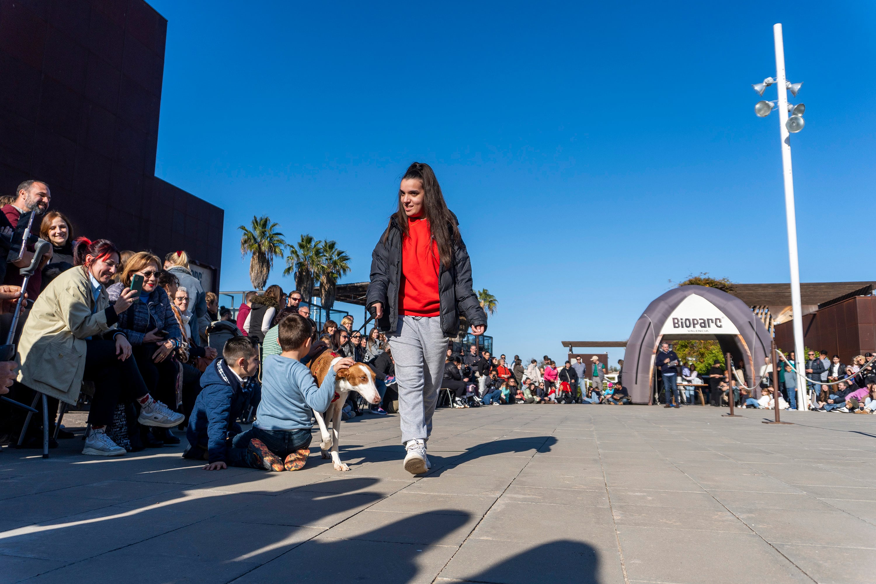 25º desfile de perros en busca de un hogar de A.U.P.A. y Fundación BIOPARC