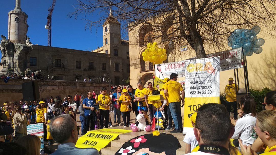 Meta de la Carrera "Por un mundo sin enfemedades raras" en Córdoba, junto a la Puerta del Puente