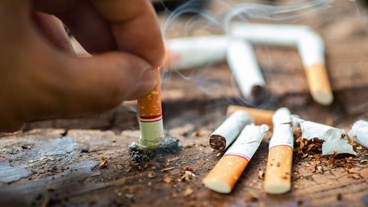 Zaragoza más limpia (20/11/24)