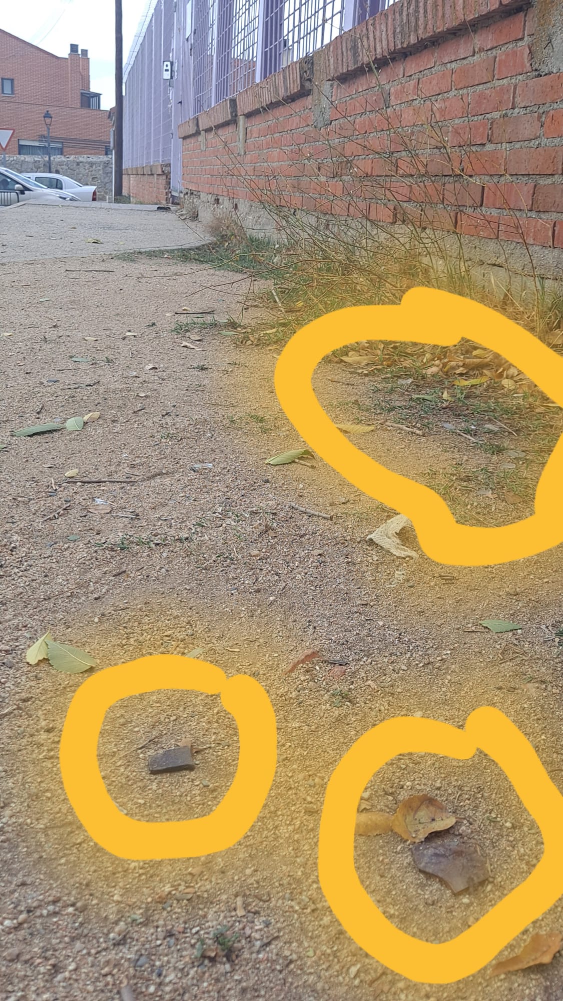 Restos junto al Colegio del Pradillo