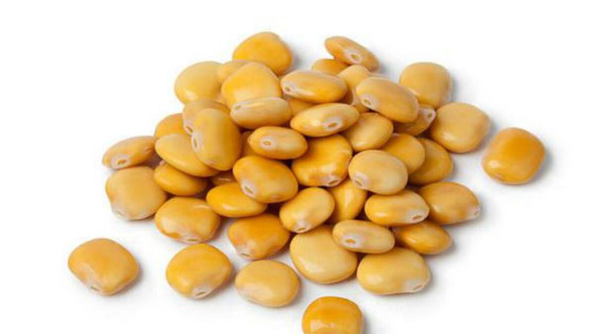 Gabinete de Crisis (21/06/2019)