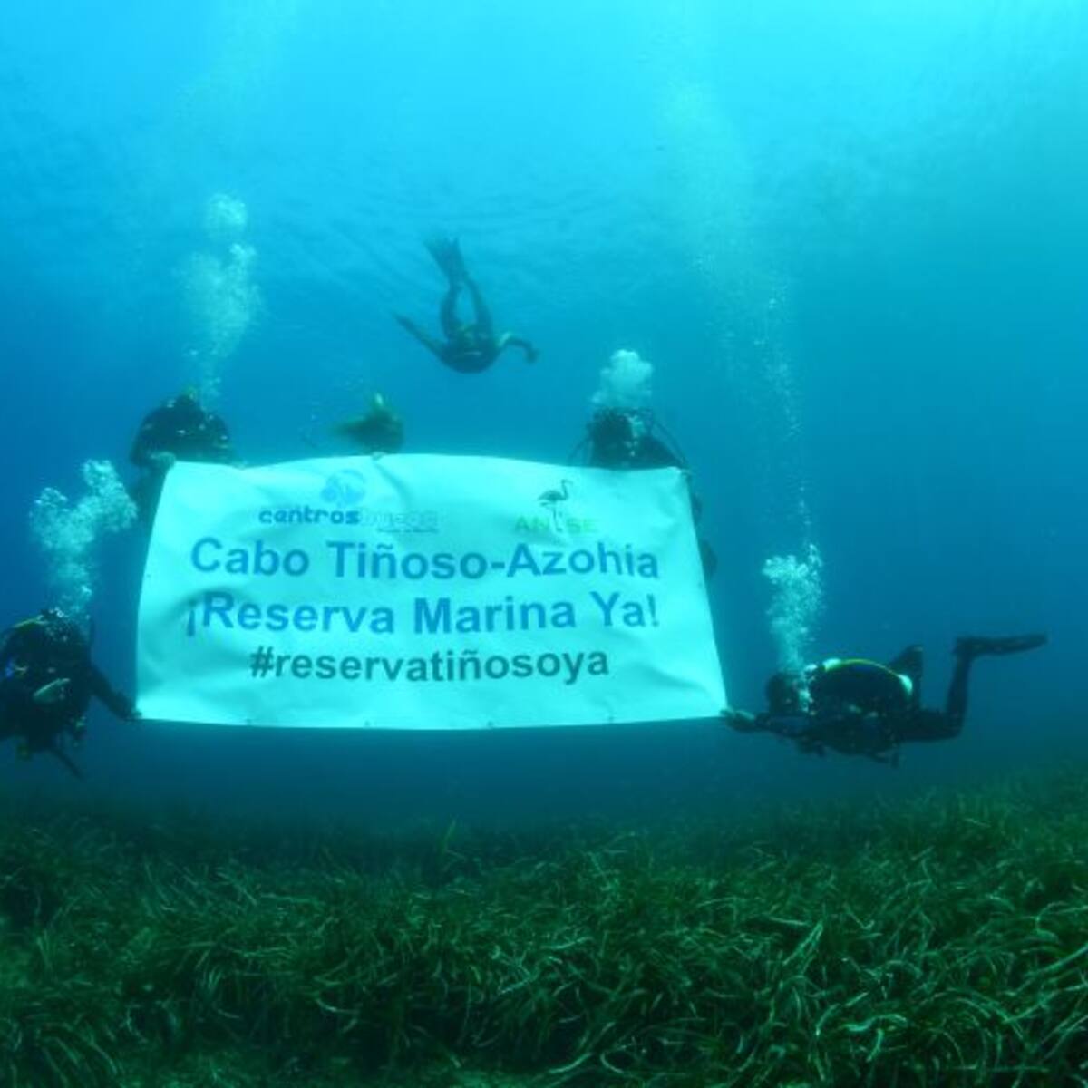 Reclaman la urgente declaración de la reserva marina de Cabo Tiñoso-Azohia