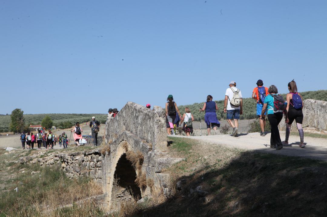 Camino Mozárabe.