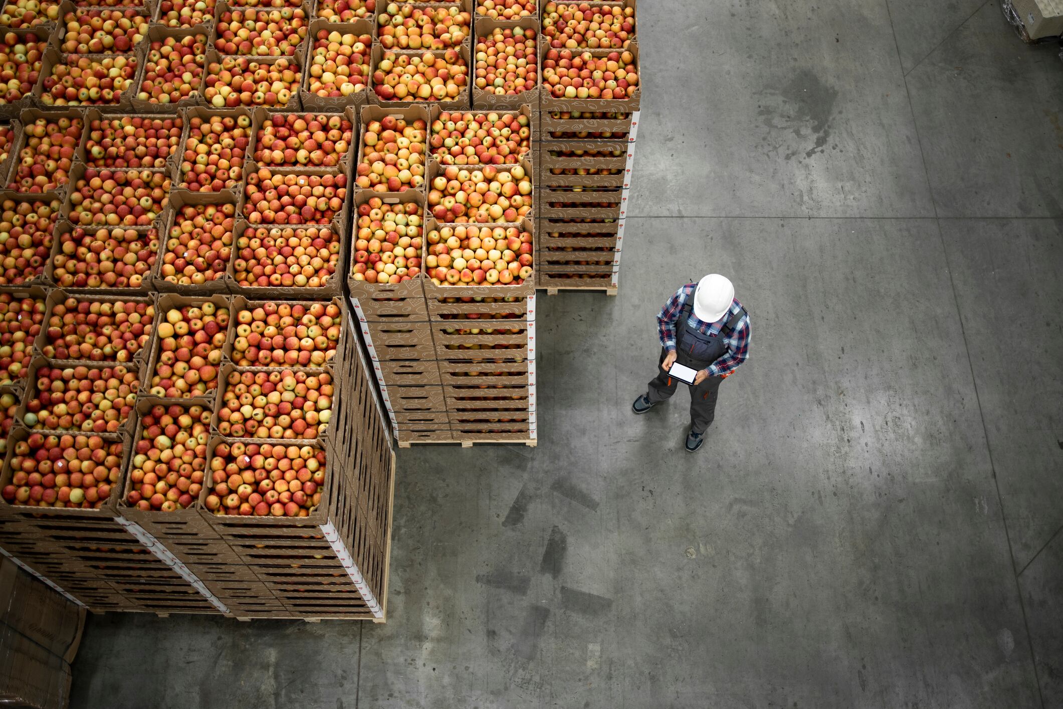 Fruta en un almacén en una foto de archivo