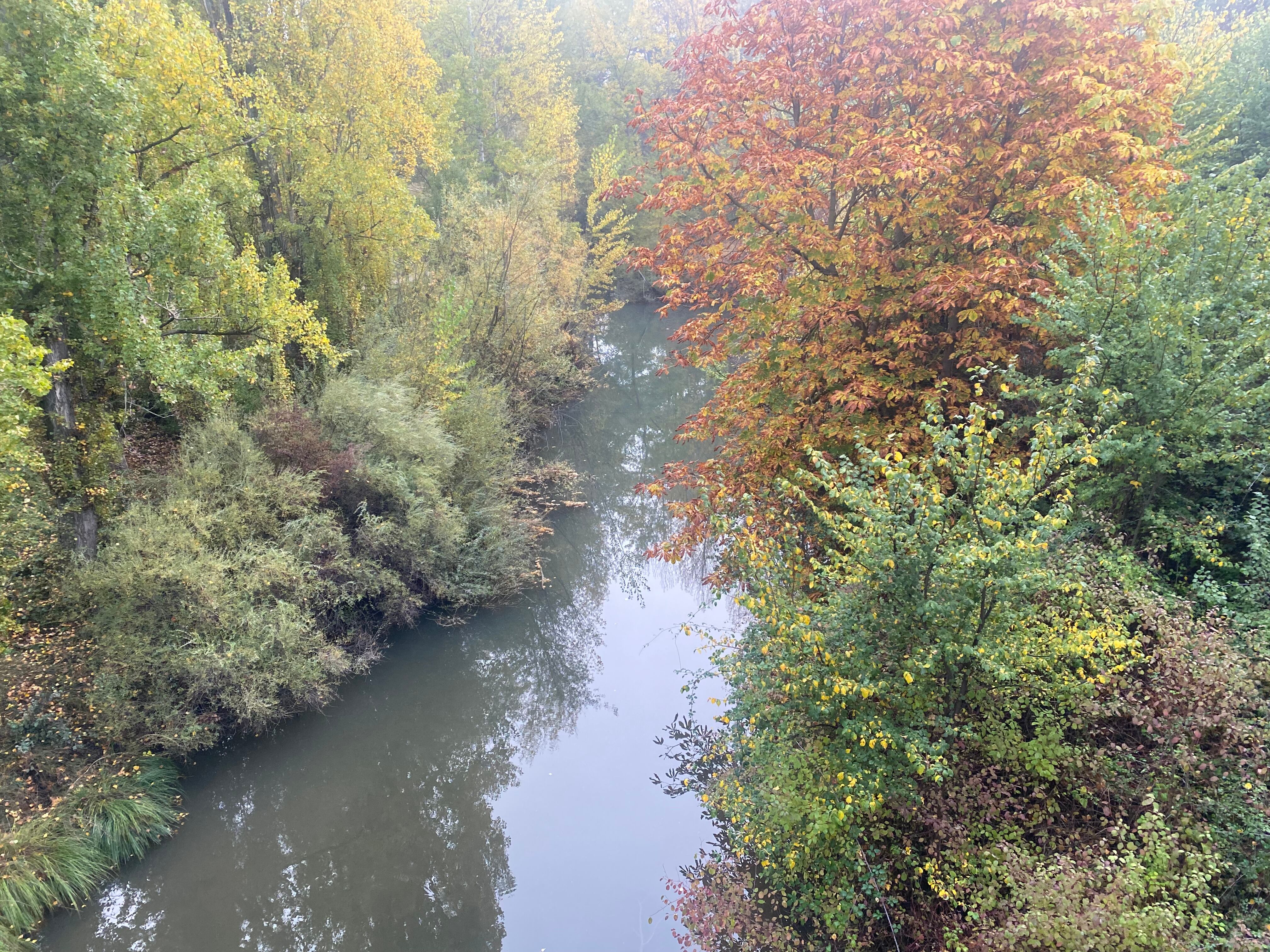 Río Arandilla