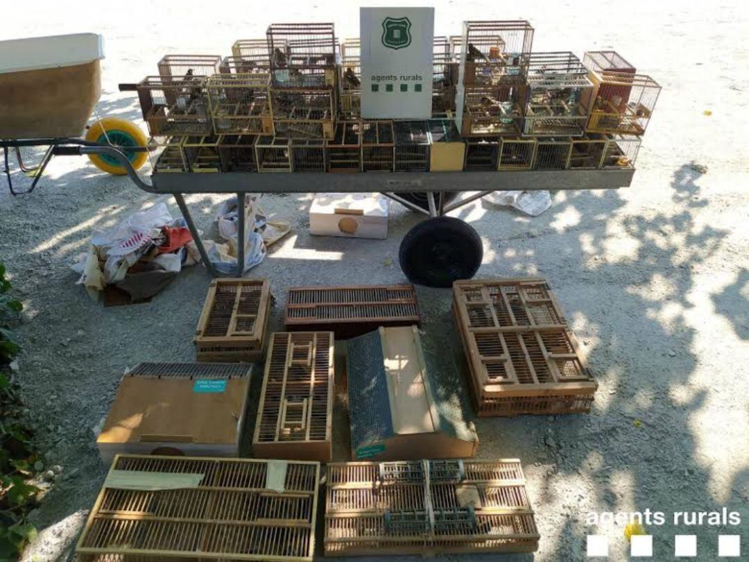 Les gàbies amb els ocells protegits intervinguts pels Rurals a Sabadell