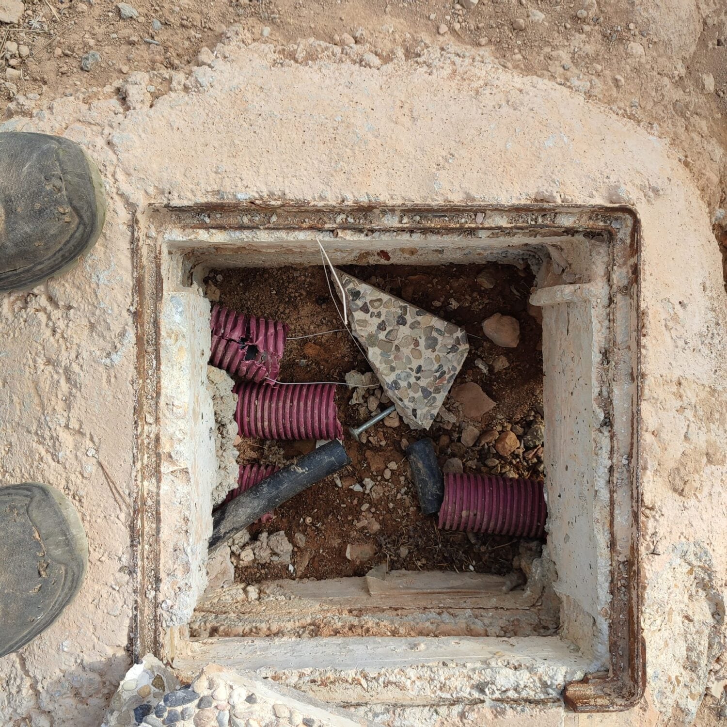 Rompen el riego del Bosque Romano y ponen en peligro meses de trabajo ambiental