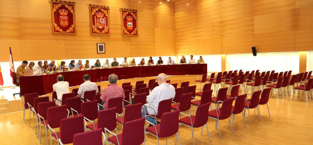 Pleno municipal extraordinario de Tres Cantos