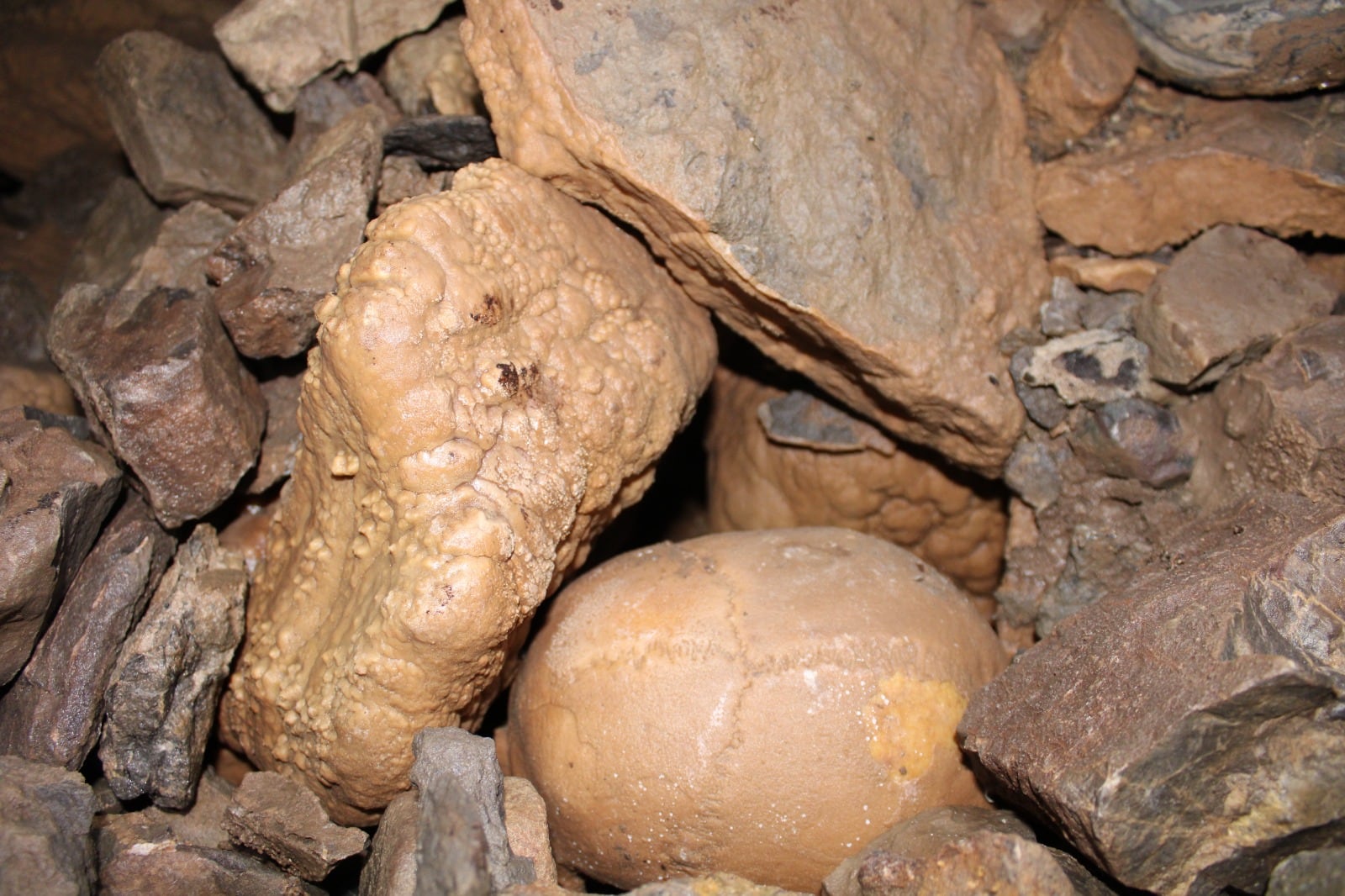 Restos óseos hallados en una cueva de Lumajo