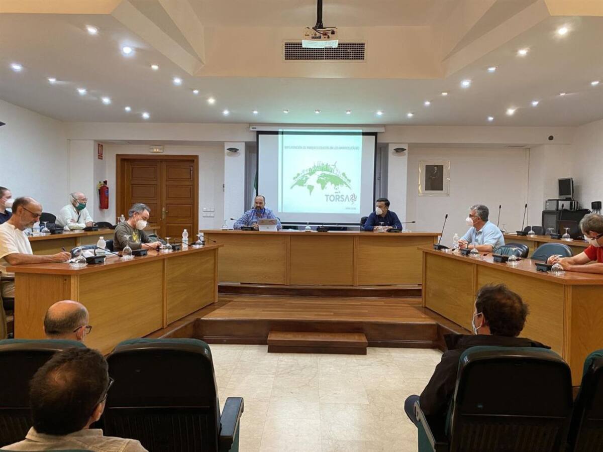Los Barrios estudia implantar un nuevo parque eólico