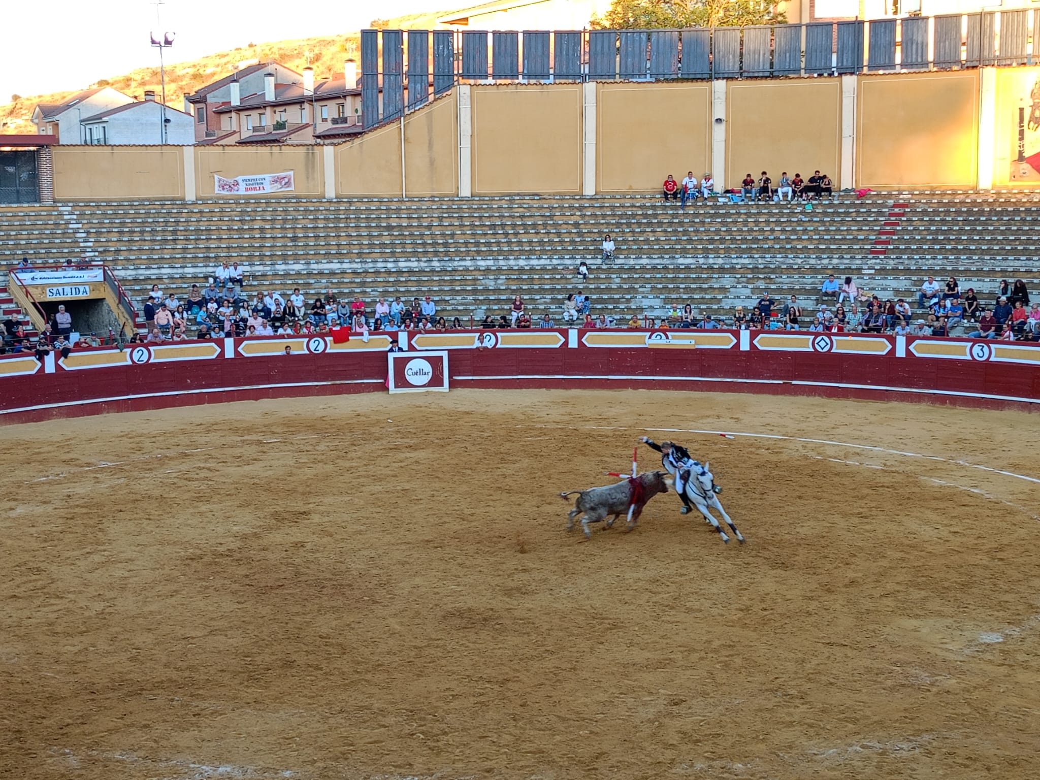 La rejoneadora portuguesa Mara Pimienta intentando colocar una banderilla en el festejo de San Miguel celebrado en Cuéllar