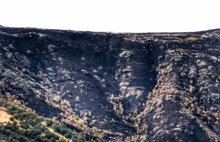 Estado de la zona afectada por el incendio en la Garganta de los Infiernos