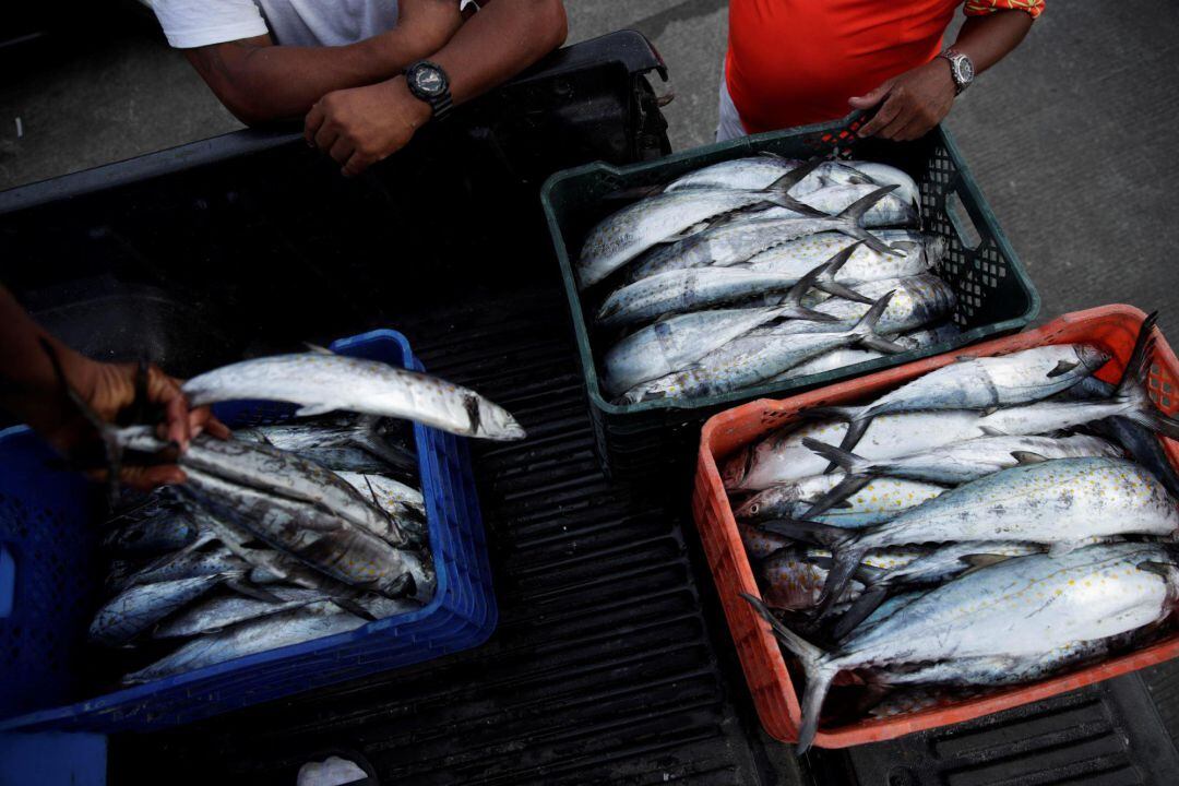 Mercado de pescado en una ciudad costera de Panamá.