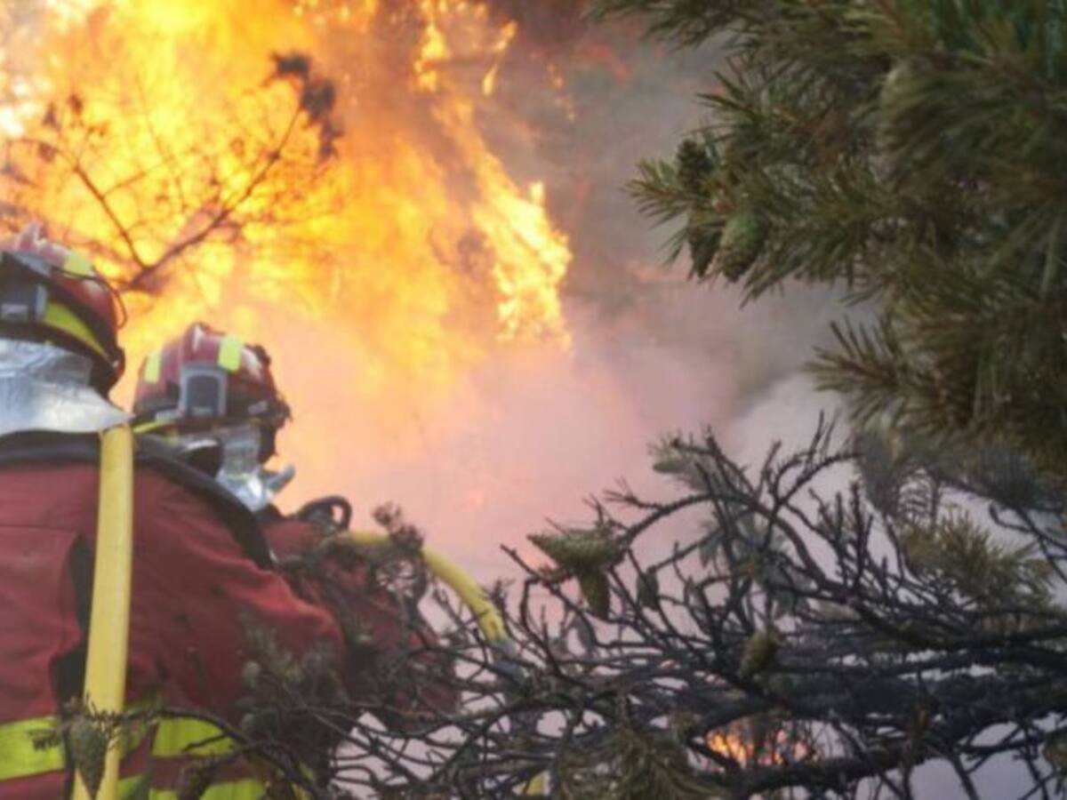 El nuevo plan antincendios de Madrid: 5.000 profesionales contra los fuegos forestales en la región