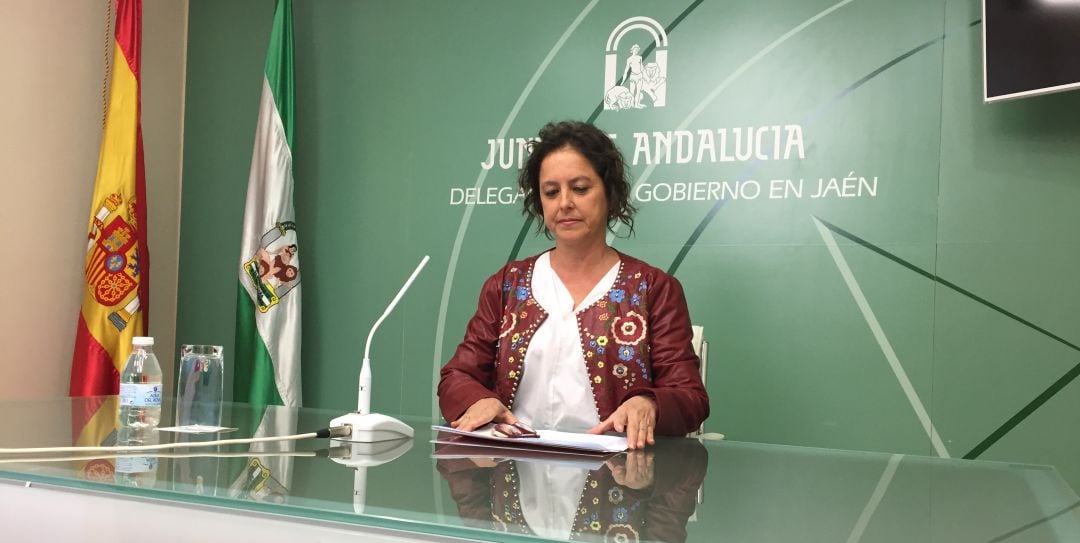 La viceconsejera de Salud y Familias, Lina García, durante la rueda de prensa.