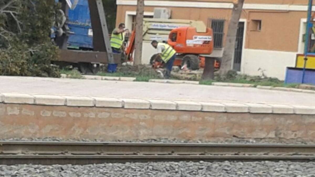 Talan los árboles de la Estación del Carmen