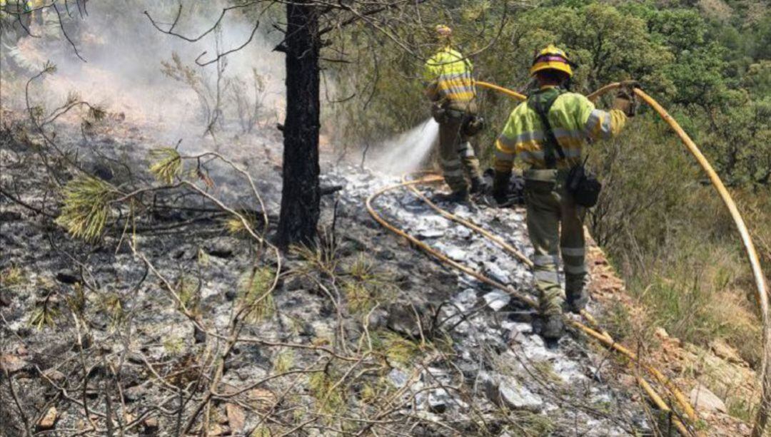 Menorca ha viscut un 2019 que ha estat molt tranquil en matèria d&#039;incendis forestals..