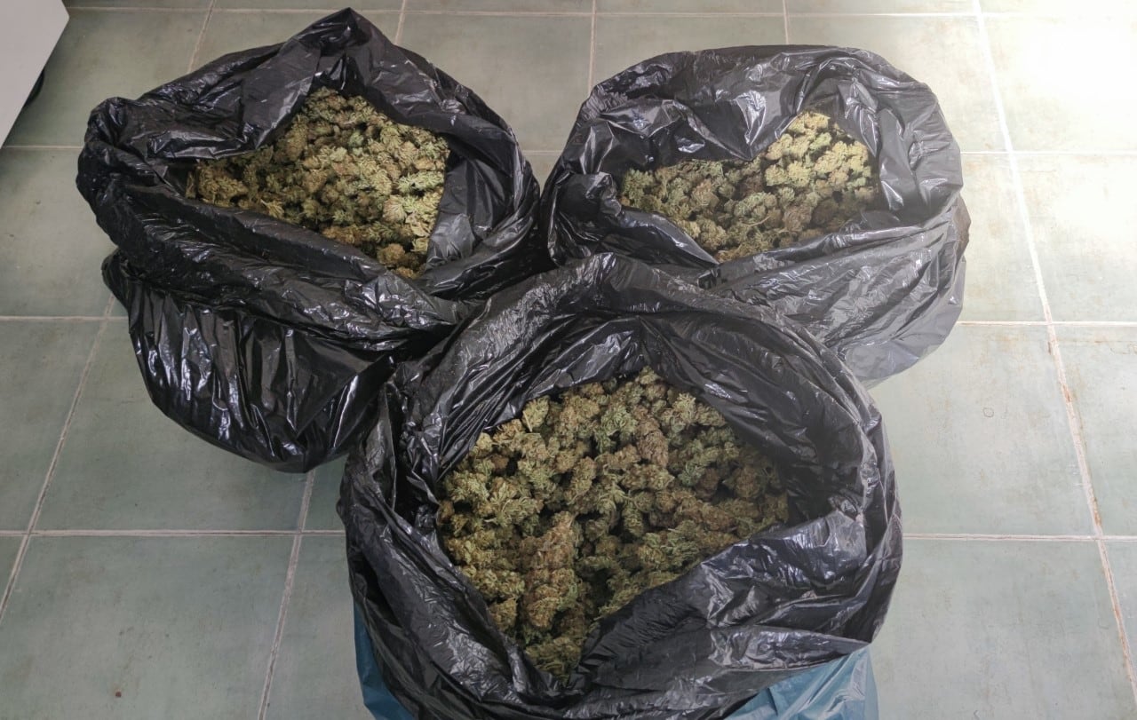 Droga incautada en Peñaflor y Lora del Río