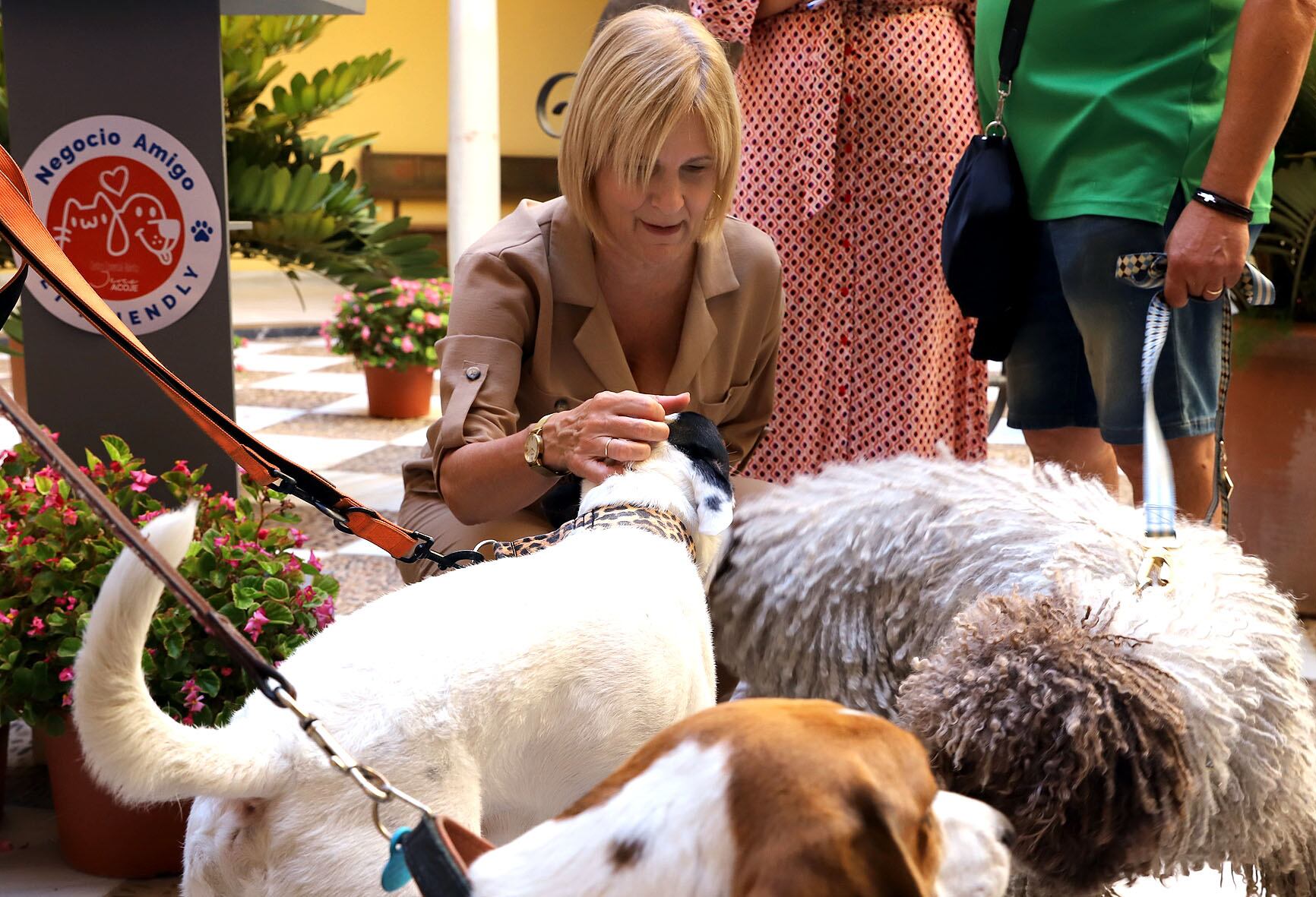 La alcaldesa de Jerez en la presentación del proyecto Pet Friendly